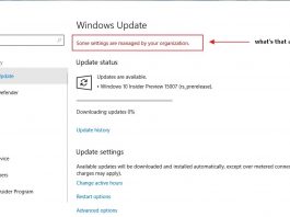Khắc phục lỗi “Some settings are managed by your organization” trên Windows 10