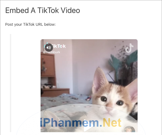 Sau khi chèn xong video Tiktok nó sẽ xuất hiện ngay trong bài viết của bạn